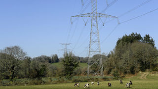 Le rejet le 13 mars 2025 par la cour de cassation du pourvoi de RTE (Réseau de Transport d’Électricité) sur le fond du dossier, marque la fin d’un long parcours judiciaire. (Photo d'illustration) Le rejet le 13 mars 2025 par la cour de cassation du pourvoi de RTE (Réseau de Transport d’Électricité) sur le fond du dossier, marque la fin d’un long parcours judiciaire. (Photo d'illustration)